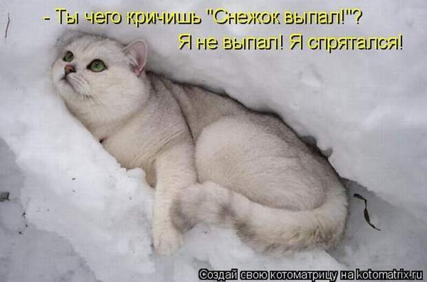 Мысли вслух :)