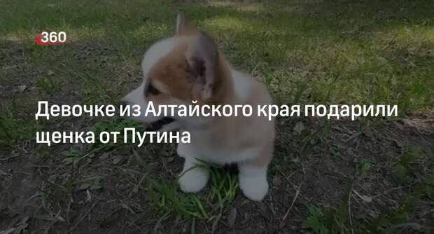 Губернатор Алтайского края Томенко по поручению президента Путина подарил школьнице щенка