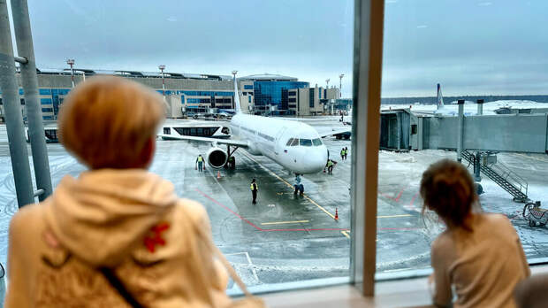 В московских аэропортах отменены 19 рейсов из-за снегопада