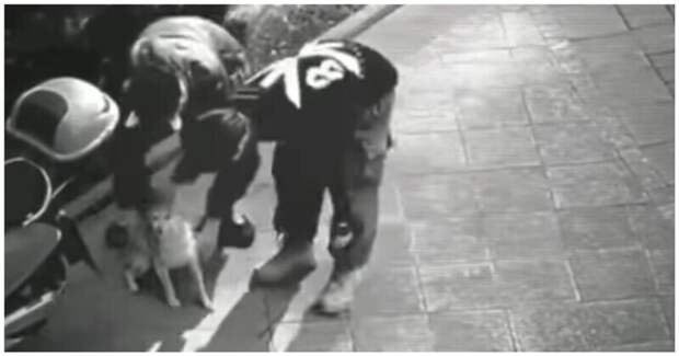 Физические риски