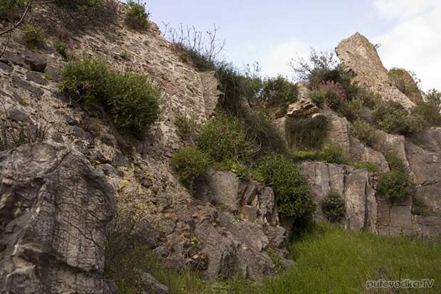 Часть крепостной стены Кипарисийского замка