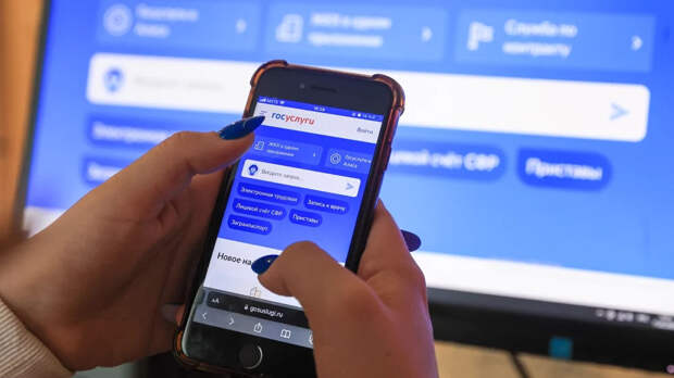 Взломавший «Госуслуги» гражданин Узбекистана прописывал мигрантов к россиянам