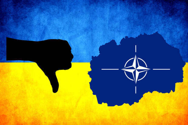 Перспектива вступления Украины в НАТО даже в далёком будущем «мертва», — западные чиновники
