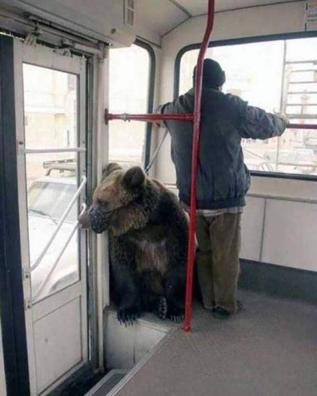 Фото, которые возможно было сделать только в России. Часть 32 (38 фото)