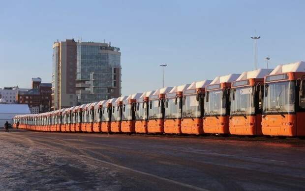 Вторая партия из 50 новых автобусов ЛИАЗ-529267 прибыла в Нижний Новгород Хорошие, добрые, новости, россия, фоторепортаж
