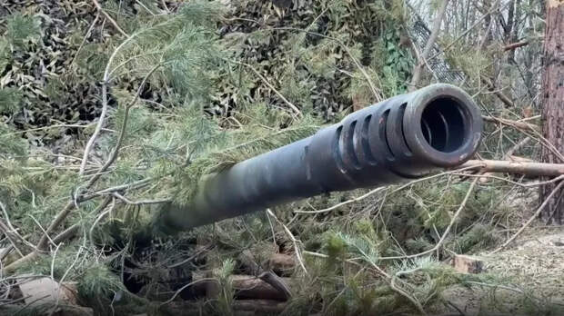 На Украине рассказали, когда и как ВС России полностью освободят Донбасс