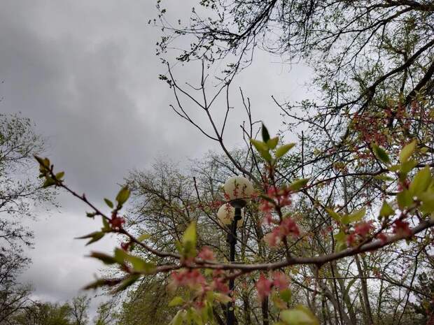 Дождливая погода зарядила в Астрахани