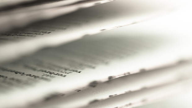 Организацию «Чеченская Республика Ичкерия» внесли в список экстремистов в России