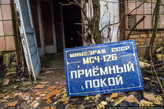Мёртвый город Припять. Джунгли Чернобыля Мёртвый город Припять. Джунгли Чернобыля