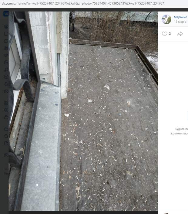 «Утонувший» в окурках козырек на Новочеркасском бульваре почистили