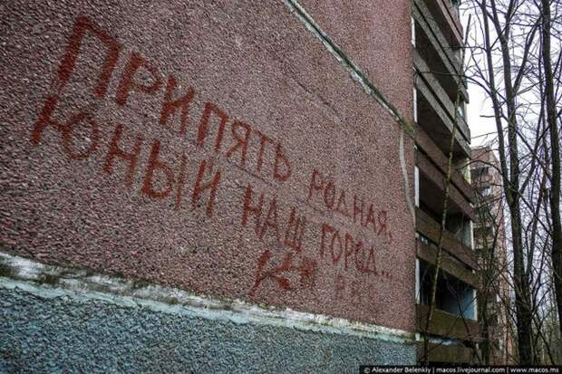 Мёртвый город Припять. Джунгли Чернобыля Мёртвый город Припять. Джунгли Чернобыля