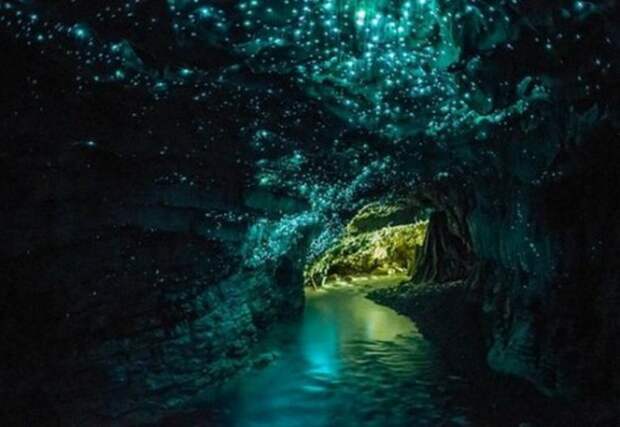 10 самых нетривиальных достопримечательностей Новой Зеландии