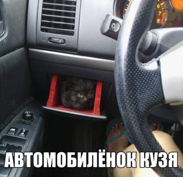 Подборка автоприколов - 42