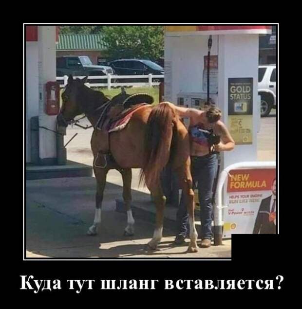 Демотиваторы (20 фото)
