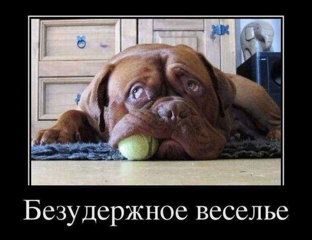 Демотиваторы (30 фото)