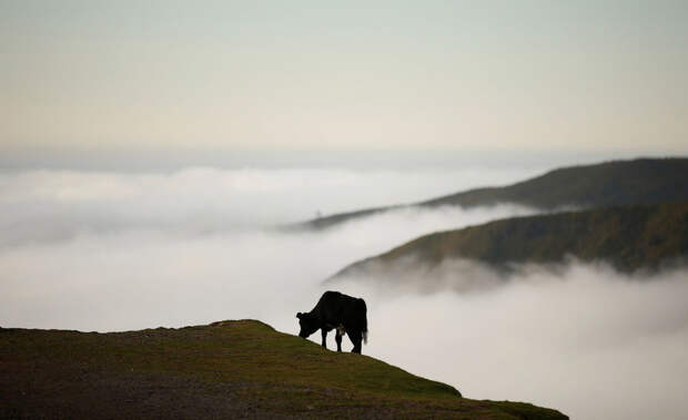 PORTUGAL-DAILYLIFE/