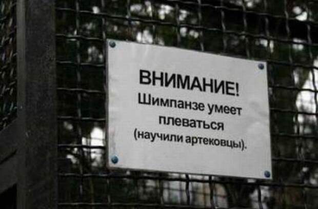 Добро пожаловать в зоопарк! Добро пожаловать в зоопарк!