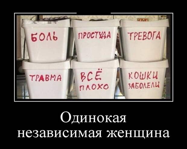 Демотиваторы (30 фото)