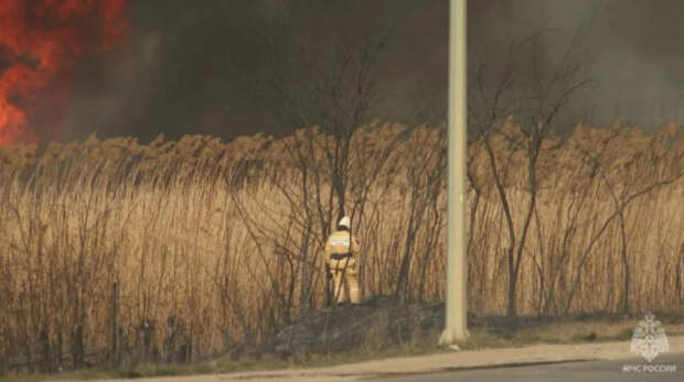 77 человек тушат горящий камыш под Феодосией