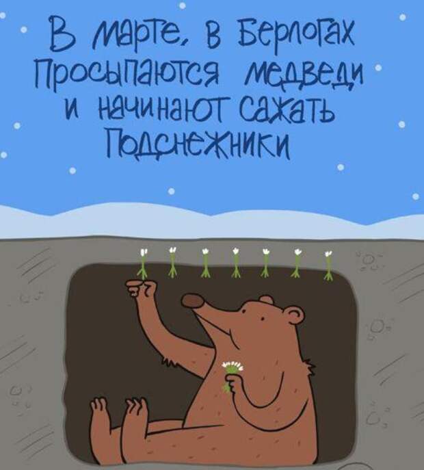 Ну, нормальные подснежники появляются так... Ну, нормальные подснежники появляются так... весна покажет, подснежники, юмор