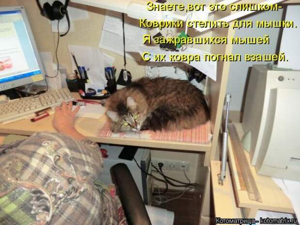 Забавные котоматрицы