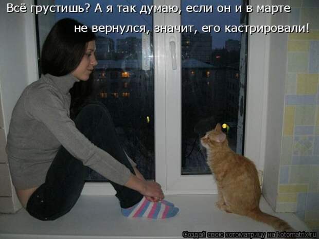 Забавные котоматрицы