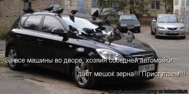 Мысли вслух :)
