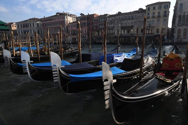 Россия примет участие в Венецианской биеннале после перерыва