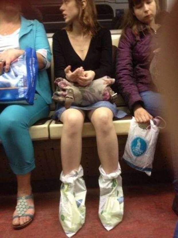 Фотографии с юмором и приколами Фотографии с юмором и приколами