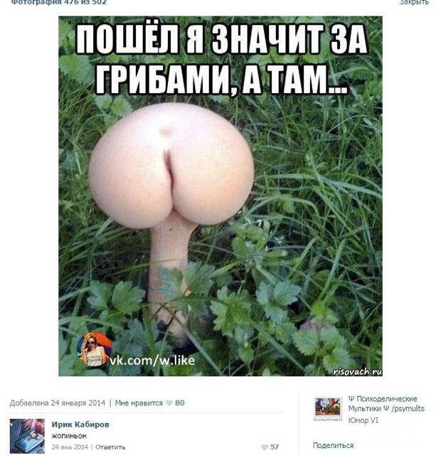 38.  комменты, прикол, соцсети, юмор