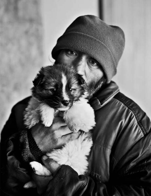 dogs_dont_care_about_money_all_they_need_is_love_640_07
