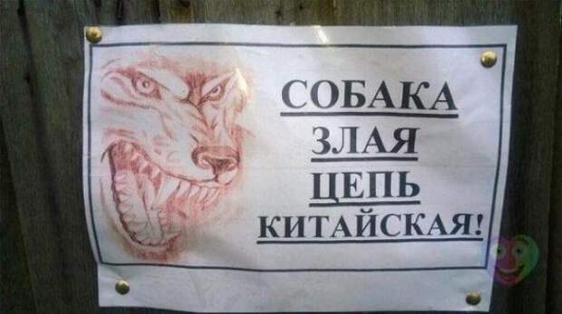 Объявления, мимо которых невозможно пройти.