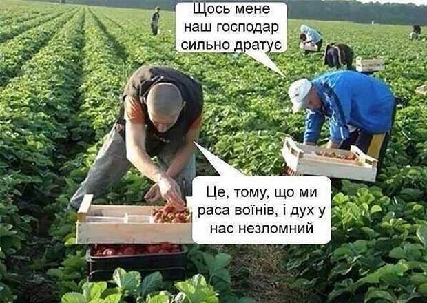 post-3562-0-05549500-1456394401.jpg