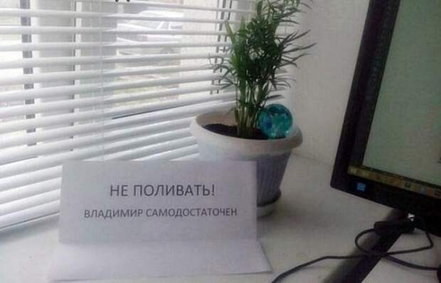 Веселые записки от сильных и независимых женщин Веселые записки от сильных и независимых женщин