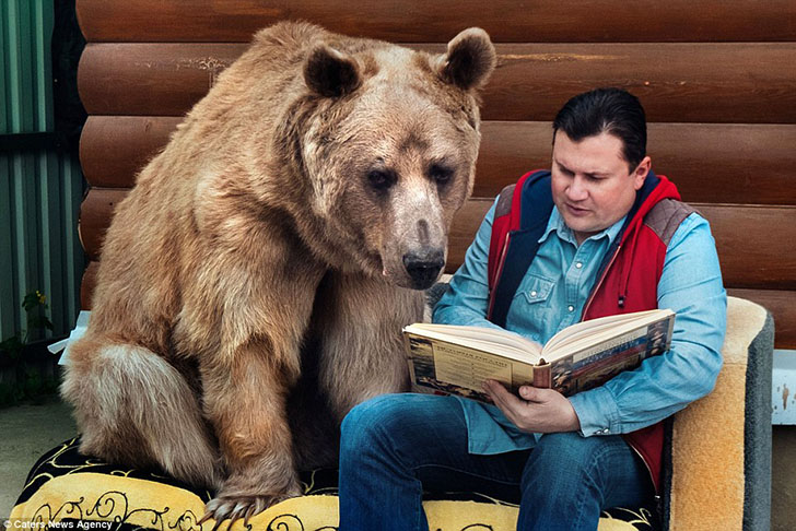 Большой, плюшевый, твой: история медведя Степана, который живет в российской семье