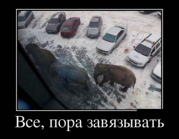 Демотиваторы (30 фото)