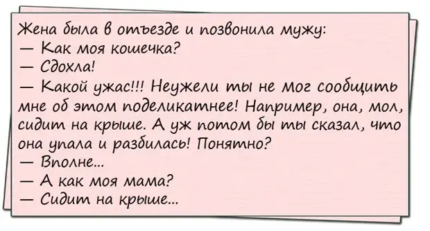 Около американской базы на Ниле лежат два крокодила...