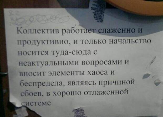 Объявления, мимо которых невозможно пройти.