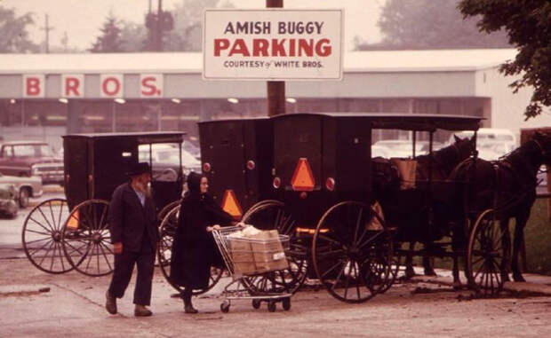 Амиши
