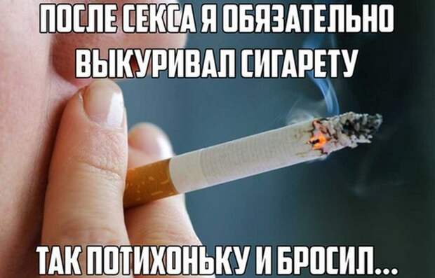 Позитивные и веселые картинки с надписью со смыслом (12 фото)