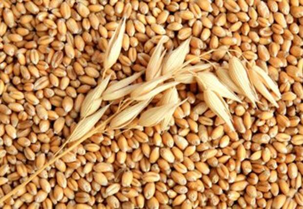 Для похудения - пшеница