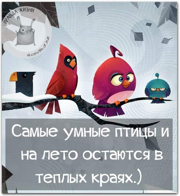 5672049_1433186505_frazki14 (555x604, 71Kb)