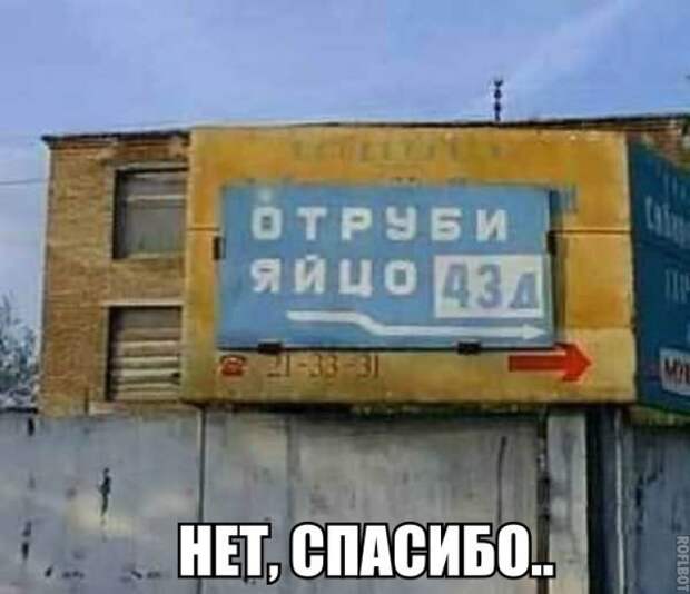 fIP1CtMn6OM