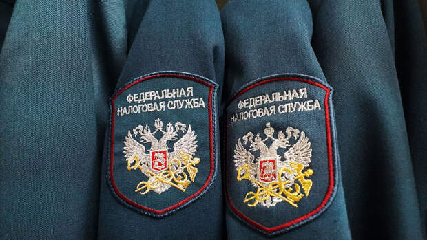 Экономист Николаев: отсрочка в уплате налогов может обернуться уголовным сроком