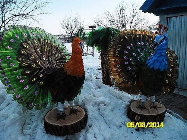 У хозяев руки растут там, где надо!