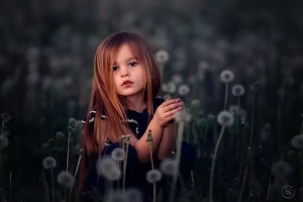 �������������� ������������ �����