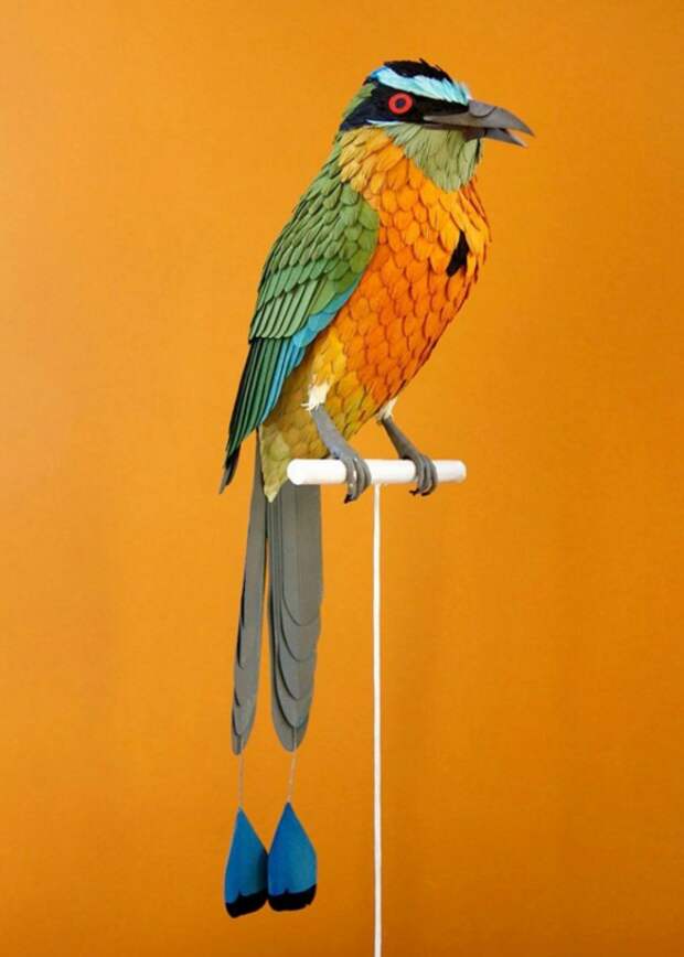 Интересные фото: Невероятные бумажные птички от колумбийской художницы животные, птицы, рукоделие, своими руками
