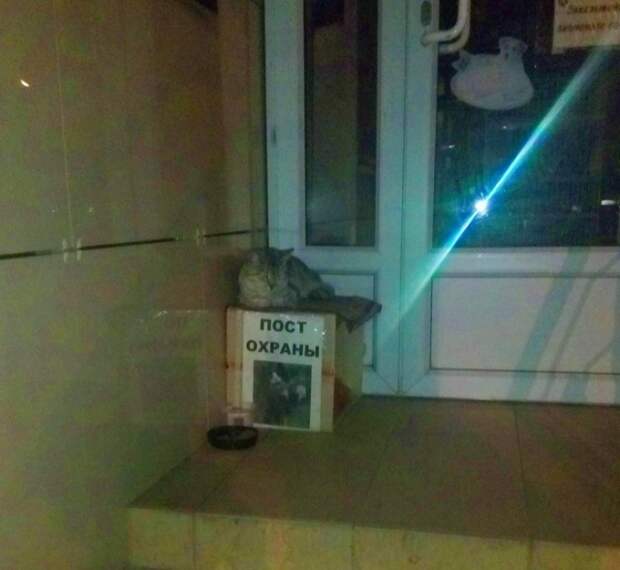 Яркие и красочные фотографии из нашей жизни