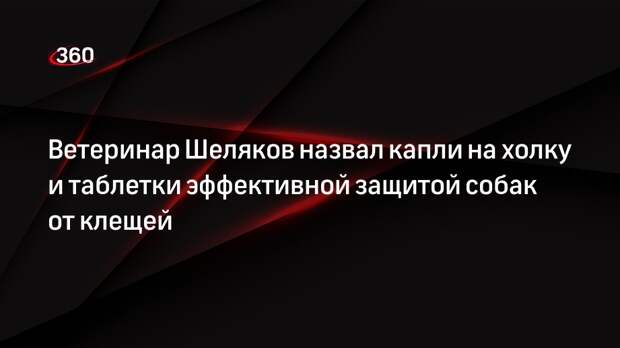 Ветеринар Шеляков назвал капли на холку и таблетки эффективной защитой собак от клещей