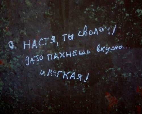 Смешные вывески, объявления и реклама (26 фото)
